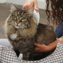 Load image into Gallery viewer, Flea Doctor Electric Comb