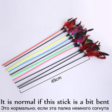 Load image into Gallery viewer, Cat Toy Feather Stick. interactive Toy For Cats and Kittens With Bell. increase pet brain power