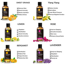 Load image into Gallery viewer, Natural Tea Tree Essential Oil, Sandalwood Pure Essential Oils for skin and hair. Vanilla Mint Frankincense Bergamot Eucalyptus Oil
