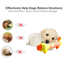 Load image into Gallery viewer, Cute Pet Dog Cat  toy. Plush Squeak funny Sound.  Durability Chew Molar Toy for All Pets
